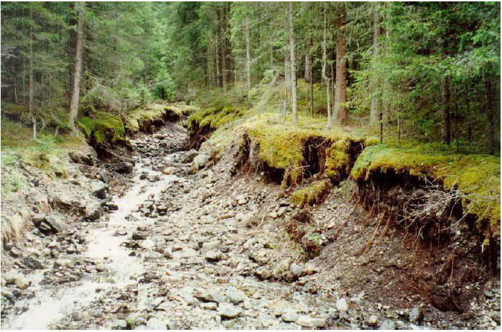 Erosione di sponda: si verifica nei corsi d acqua ad opera della corrente idrica, essa riguarda l erosione delle sponde con conseguente crollo e allargamento dell alveo Erosione di massa per