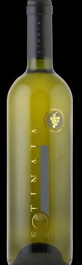 Powered by TCPDF (www.tcpdf.org) CucinacoNoi - Enogastronomia e Stile SALICE SALENTINO BIANCO TINAIA 2011-85- Bianco Doc - Chardonnay 100% - 13,5% - 9 Bagliori dorati.