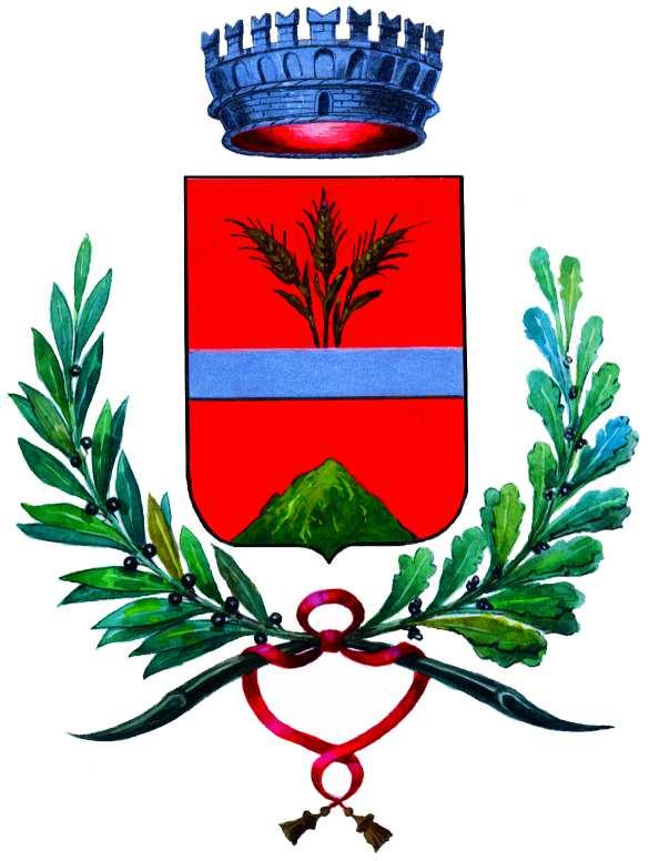 Originale COMUNE DI PALLANZENO PROVINCIA DEL VERBANO CUSIO - OSSOLA VERBALE DI DELIBERAZIONE DEL CONSIGLIO COMUNALE N.