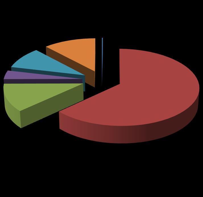 Riepilogo Decessi del Corpo di Spedizione. Totale n 2291 (100%) 215; 9,4% 273; 11,9% 87; 3,8% 5; 0,2% Uff.li G.li R.