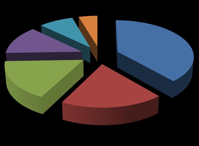 Reato di Furto in % nelle diverse armi 0,34% 0,45% 0,22% 0,12% 1,03% Btg. Amministraz.