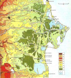 all estrazione metanifera avvenuta tra il 1938 ed il 1963, si attesta intorno a 200 mm/anno.