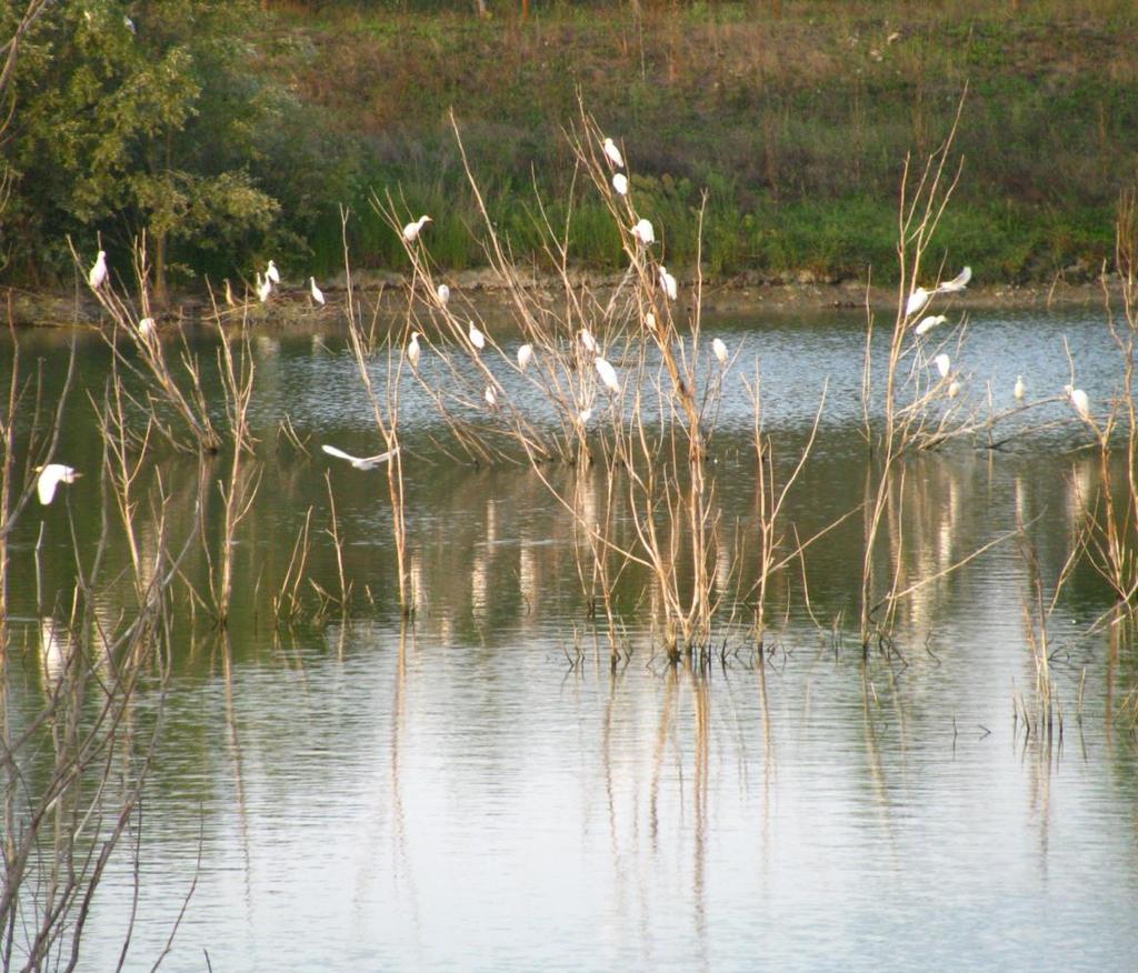 Evoluzione geomorfologica della bassa Pianura Padana INNOVATIVE TECHNOLOGIES FOR THE