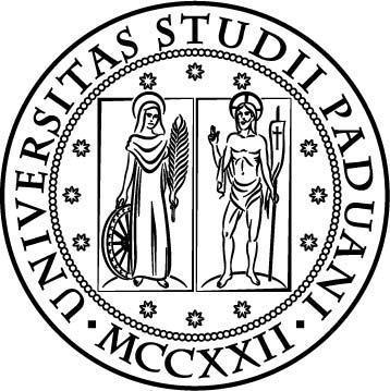 Università degli Studi di Padova Dipartimento di Scienze Statistiche Corso di Laurea Magistrale in Scienze statistiche Analisi statistiche degli indici di misurazione e valutazione delle