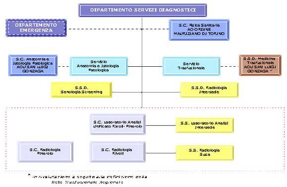 Gli elementi di riferimento costante sono rappresentati dai principi della medicina basata sulle evidenze scientifiche, dalle linee guida e dalla loro contestualizzazione nei percorsi