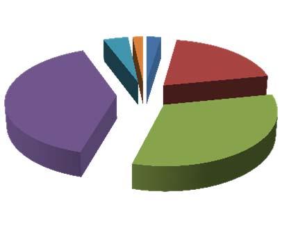 A.4.3 DEFINITI - ANALISI PER NATURA GIURIDICA TAB. A.4.3.a Andamento dei definiti distinti per natura giuridica 2013 2014 2015 CTP CTR CTP CTR CTP CTR n. % n. % n. % n. % n. % n. % Persona fisica 183.