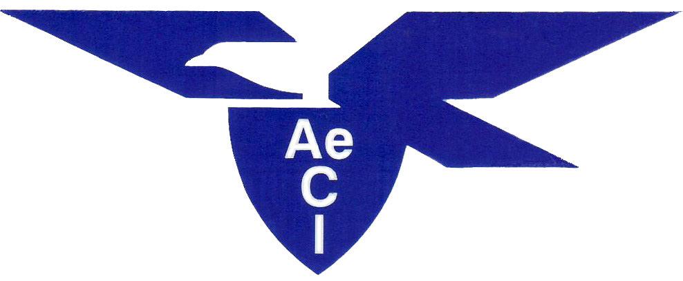 Aero Club d Italia REGOLAMENTO TECNICO AEROMODELLISMO