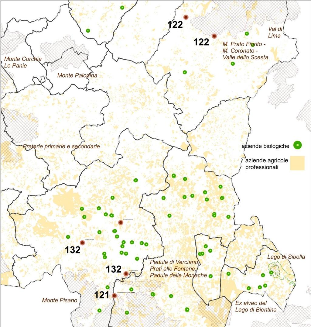 Piano di sviluppo rurale 2007-2013 - Asse 1 - MIGLIORAMENTO DELLA COMPETITIVITA' DEL SETTORE AGRICOLO E FORESTALE Asse 2 - MIGLIORAMENTO DELL'AMBIENTE E DELLO SPAZIO RURALE MISURA 121 ammodernamento