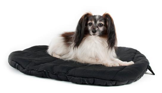 Minicoperta cane Ideale per cani anziani oppure cani che sono in attività sportiva Può essere utilizzato in diversi modi come materassino, per esempio sulla poltrona preferita o su un