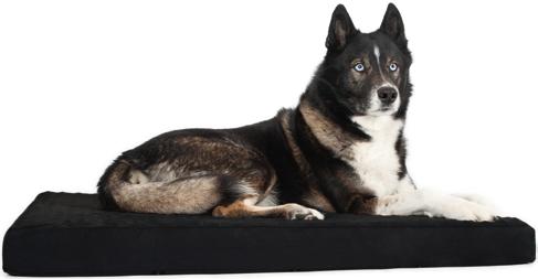 Materassino cane Ha un effetto decomprimente e può essere d aiuto per problemi legati alla muscolatura o alla schiena Materiale esterno in Polipropilene con particelle di ceramica Materasso in Memory