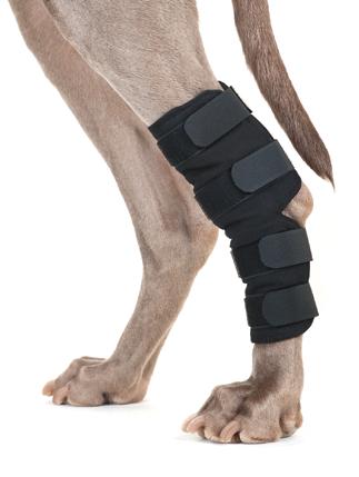 zampe posteriori cane Con chiusura a strappo Ideale per cani con problemi alle articolazioni, artrosi, indebolimento del tessuto connettivo e dopo un operazione Si consiglia di utilizzare