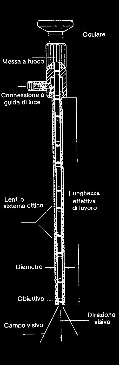 Per l utilizzo di questi strumenti sono indispensabili le sorgenti di luce fredda (vedi pag. 225) e le guide di luce per il collegamento tra endoscopio e sorgente.