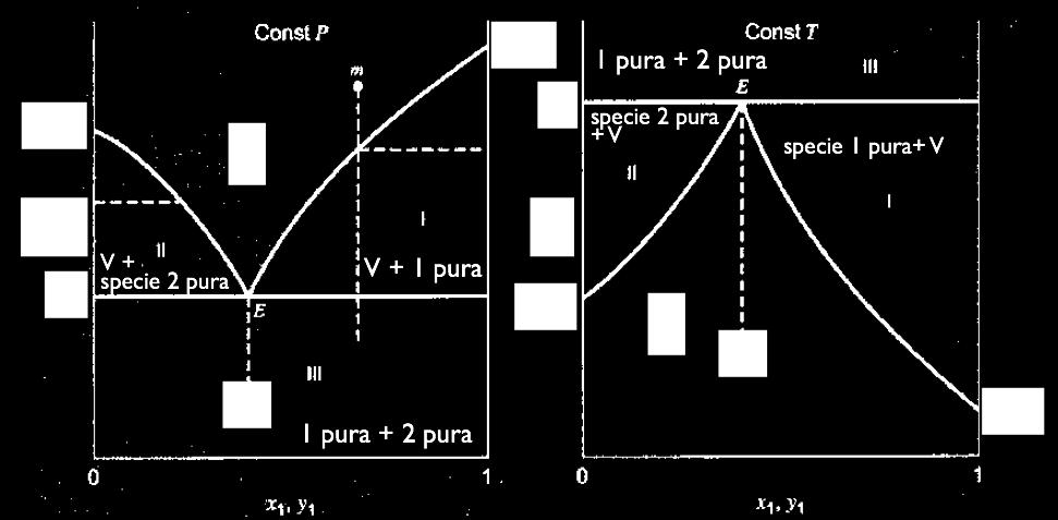 equilibrio con la fase ", sat costituita dalla specie 1 pura P 1 ^Th y1 = P Nella regione