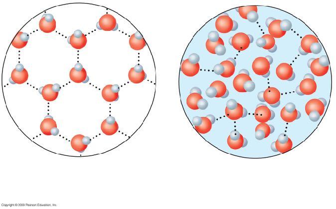 Legami idrogeno Ghiaccio I legami idrogeno sono stabili Acqua allo stato