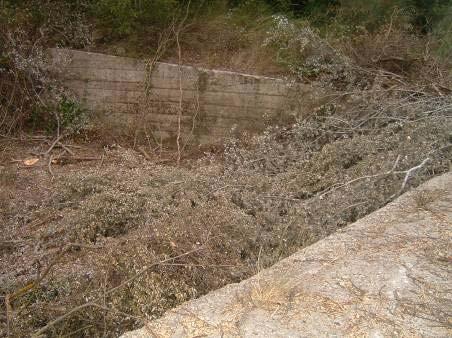 esondazioni e sormonto di questi e di tutti gli attraversamenti che sono ubicati lungo questa strada. Tutto ciò, dunque, potrebbe diventare la causa principale di situazioni di pericolo.