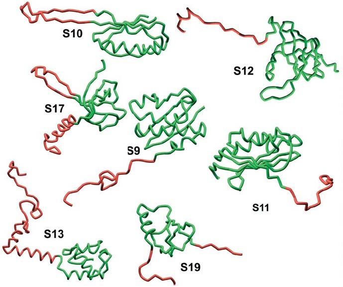 Struttura tridimensionale Traduzione e sintesi delle proteine - interazioni mediante ponti salini tra catene laterali code