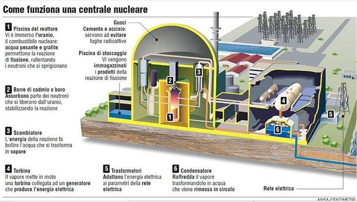 Il circuito secondario, non radioattivo, è costituito dalla parte superiore del generatore di vapore (B) in cui viene fatta circolare acqua.