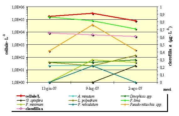 Figura 3 Andamenti medi delle abbondanze cellulari di fitoplancton totale e di fitoplancton tossico e potenzialmente tossico (campioni prelevati a 0.