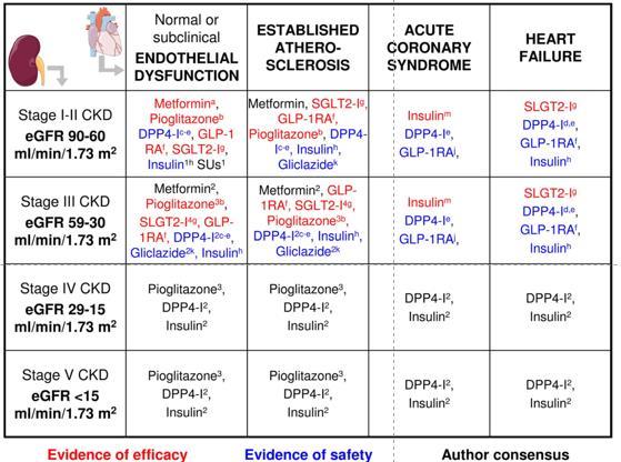 A treatment algorithm based on cardiac and renal