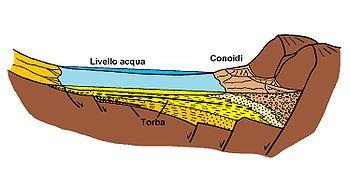 Seconda fase lacustre A questo lago di piccole dimensioni (massimo 20 Km di lunghezza) segue la formazione di un grande bacino le cui dimensioni quasi