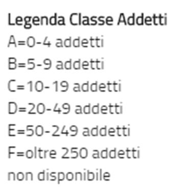 Le informazioni della sezione riservata 2/3 la descrizione dell attività economica; le informazioni su fatturato, patrimonio e addetti de addetti (disponibili