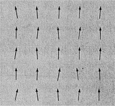 Spin di modulo unitario Modelli Ferromagnetici Sistema di N spin reticolari interagenti Momento magnetico totale