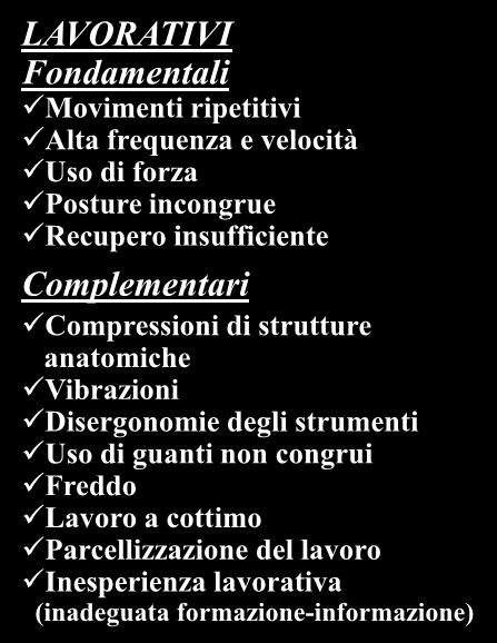 strutture anatomiche Vibrazioni Disergonomie degli strumenti Uso di guanti non congrui Freddo Lavoro