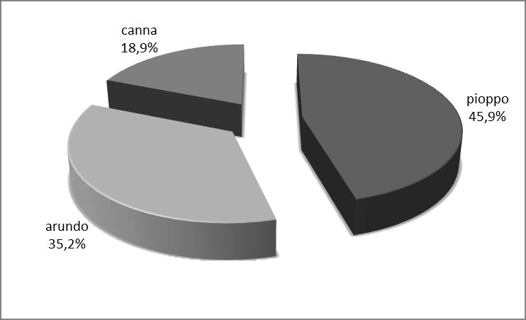 TABELLA 3.5 MASSE DI SOSTANZA COMBUSTIBILE DA COLTURE DEDICATE DI TIPO LIGNOCELLULOSICO SCENARIO IPOTIZZATO PER IL 2013 Area colture arboree [t s.s./anno] colture erbacee [t s.s./anno] Totale colture dedicate [t s.