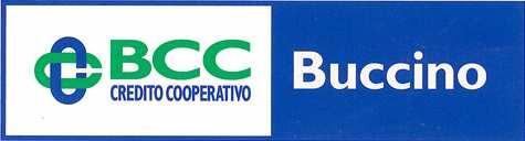 INFORMAZIONI SULLA BANCA Banca di Credito Cooperativo di BUCCINO Società Cooperativa fondata nel 1982 Sede legale in Buccino, Piazza Mercato Loc. Borgo, cap. 84021 Tel.