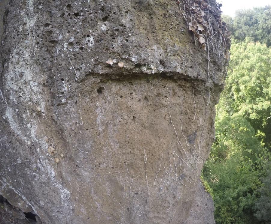 Foto 2 - Particolare della nicchia Il sottoscritto, in qualità