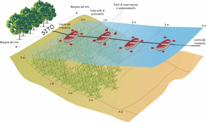 Anno 2007 Attività propedeutica all implementazione della Direttiva 2000/60/CE BIO60: Progetto approvato e finanziato dalla Regione Veneto ARPAV incaricata a provvedere all attivazione di un