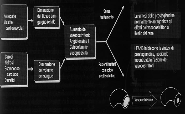 la secrezione gastrica acida (cibo, istamina, gastrina) e la PGE aumenta la secrezione di muco.