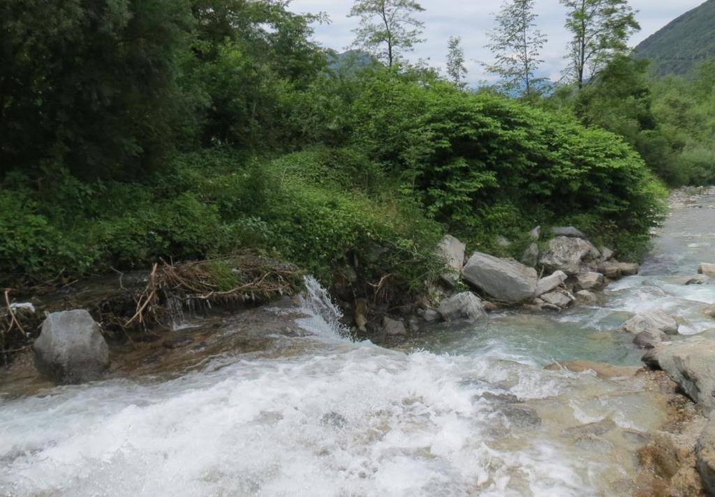 corrispondenza dell'intersezione con il torrente Molinara In questa zona l alveo del torrente si trova ad una quota di 509 m slm e