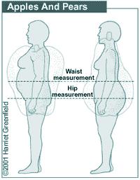 Obesità a mela : grasso