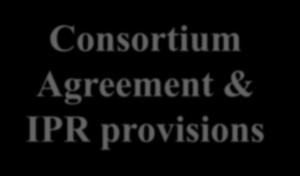 Consortium Agreement (CA) CA è obbligatorio a meno che non sia diversamente specificato nel work programme Partner Consortium Art 41.
