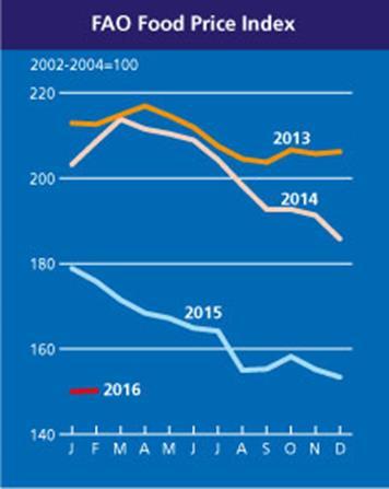 L andamento prezzi delle commodities agricole Le tendenze di breve periodo: Febbraio 2015 -