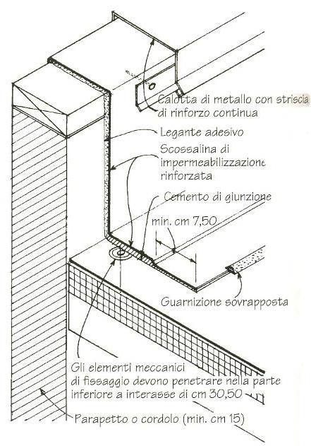 MEMBRANE