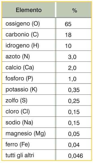 7. Gli elementi della vita I più importanti elementi indispensabili per il