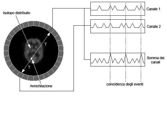 Figura 2.4: Definizione della rivelazione in coincidenza: vengono considerati solo i fotoni che raggiungono il rivelatore in coppia, ovvero in un intervallo di tempo di pochi ns [23] Figura 2.