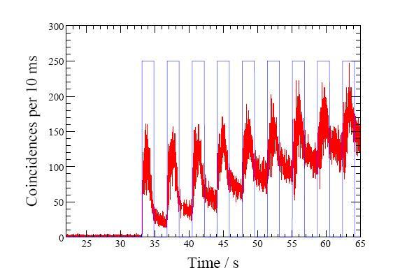 Figura 3.1: Esempio di conteggi di coincidenze sperimentali all inizio dell irradiazione [36].