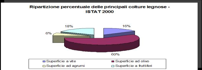 sono rappresentate da quelle cerealicole. Per le colture arboree la specie più coltivata è l olivo.