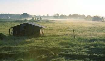 ATMOSFERA: I GAS DELLA TERRA 35 Figura 3.5 La nebbia.