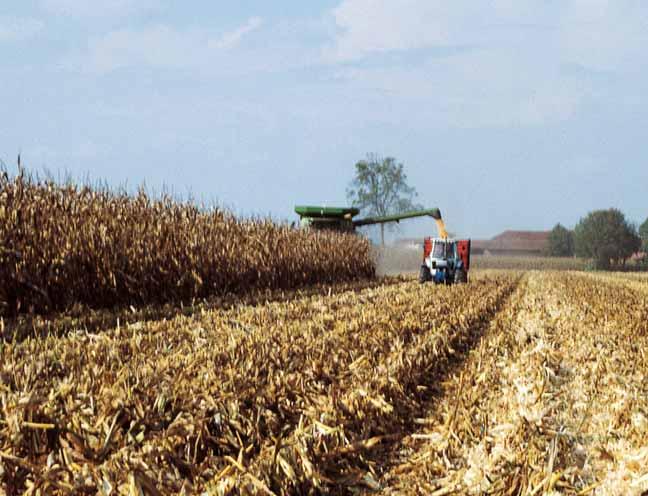 PROVE AGRONOMICHE no ai valori medi dei due «ambienti». Concimazione azotata.