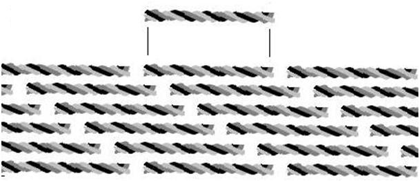 Le unità di tropocollageno si dispongono testa-coda su file parallele, sfalsandosi di circa