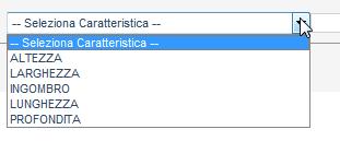 INSERIMENTO DELLE CARATTERISTICHE TECNICHE Se si vogliono inserire le caratteristiche tecniche (misure, dimensioni, ingombri) di un ausilio occorre agire sull icona che si trova sulla destra, sotto