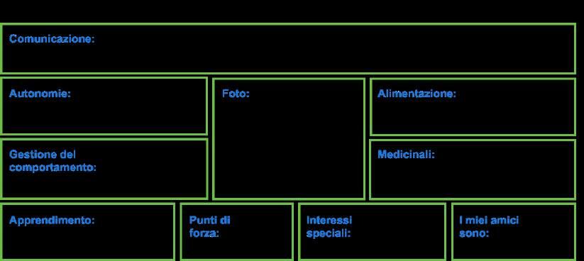 1.3 La costruzione della carta di identità dell alunno Partendo dalla diagnosi funzionale e dai documenti inerenti l alunno con autismo, è necessario costruire una carta d identità che possa