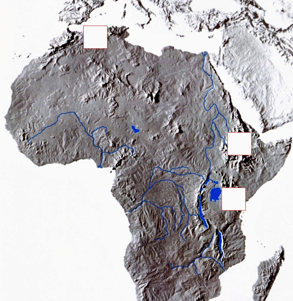 10 M092-501-1-1I B2 IL MONDO 16. La cartina n. 2 rappresenta la morfologia del rilievo dell'africa.