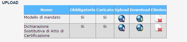 Il Soggetto Investitore può inserire un solo Mandatario (i cui dati sono inseribili nelle sezioni Dati Mandatario, Sede Legale, Regime Fiscale, Rappresentante) e indicare su quali mercati è