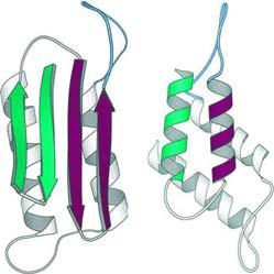 rather different conformations.