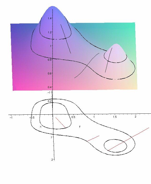 Proprietà geometriche del gradiente In questo lucido è rappresentato il grafico di una funzione reale di due variabili reali.